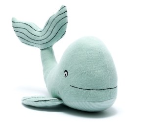 sea green whale eyes open
